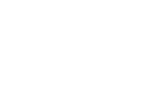 Logo Casa Ziva
